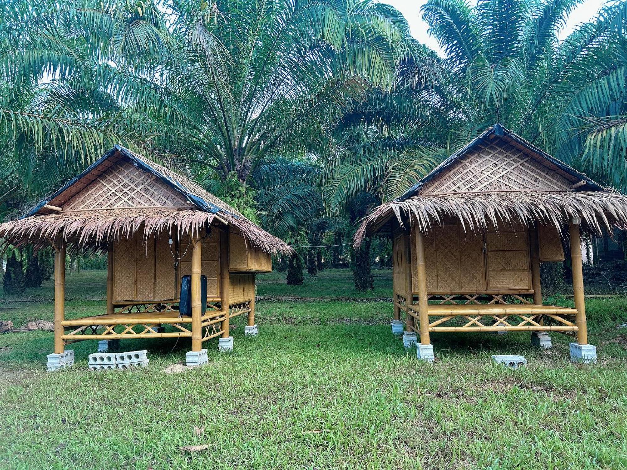 Отель Khaosok August Freedom Camp Khao Sok National Park Экстерьер фото