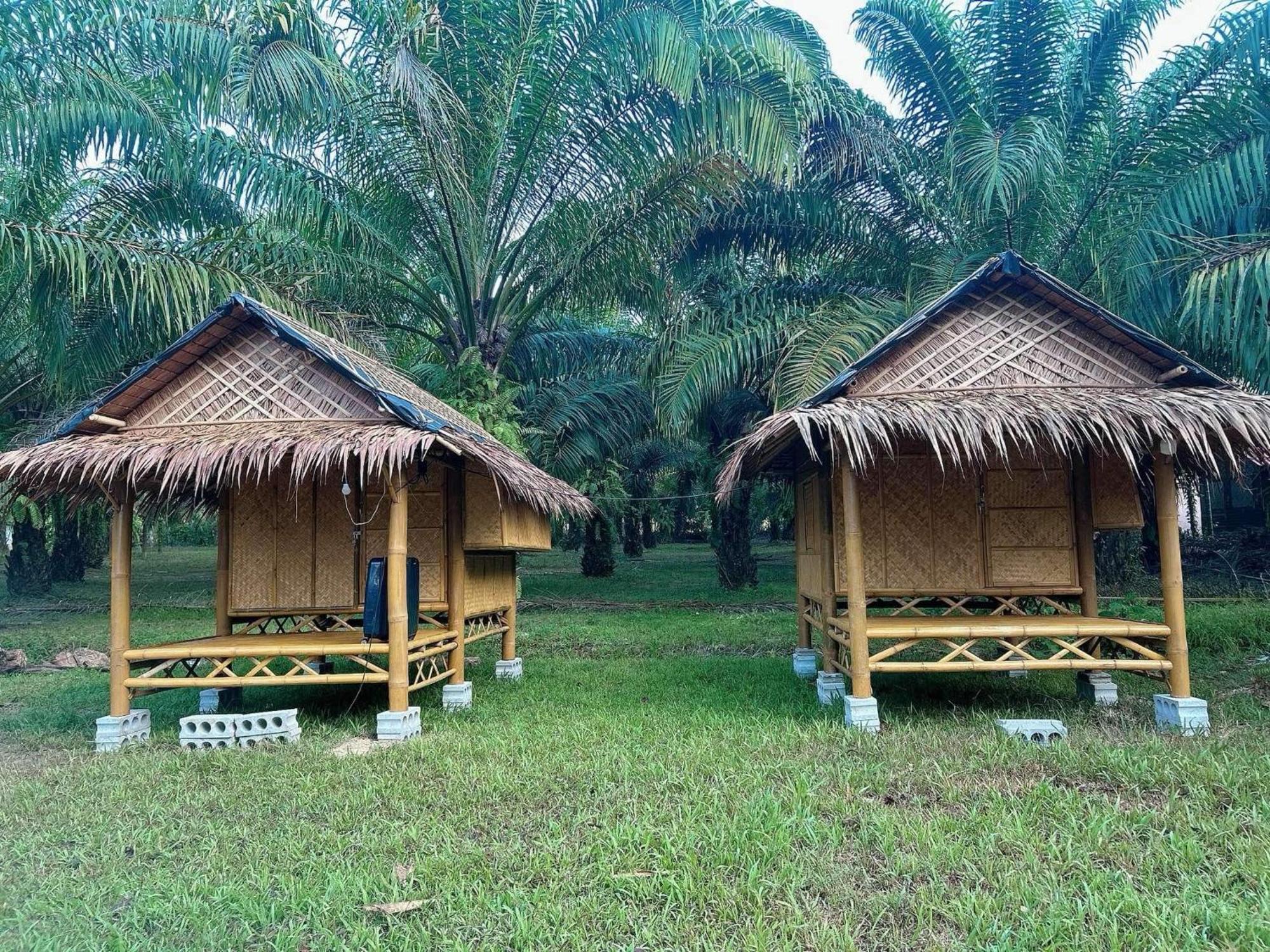 Отель Khaosok August Freedom Camp Khao Sok National Park Экстерьер фото