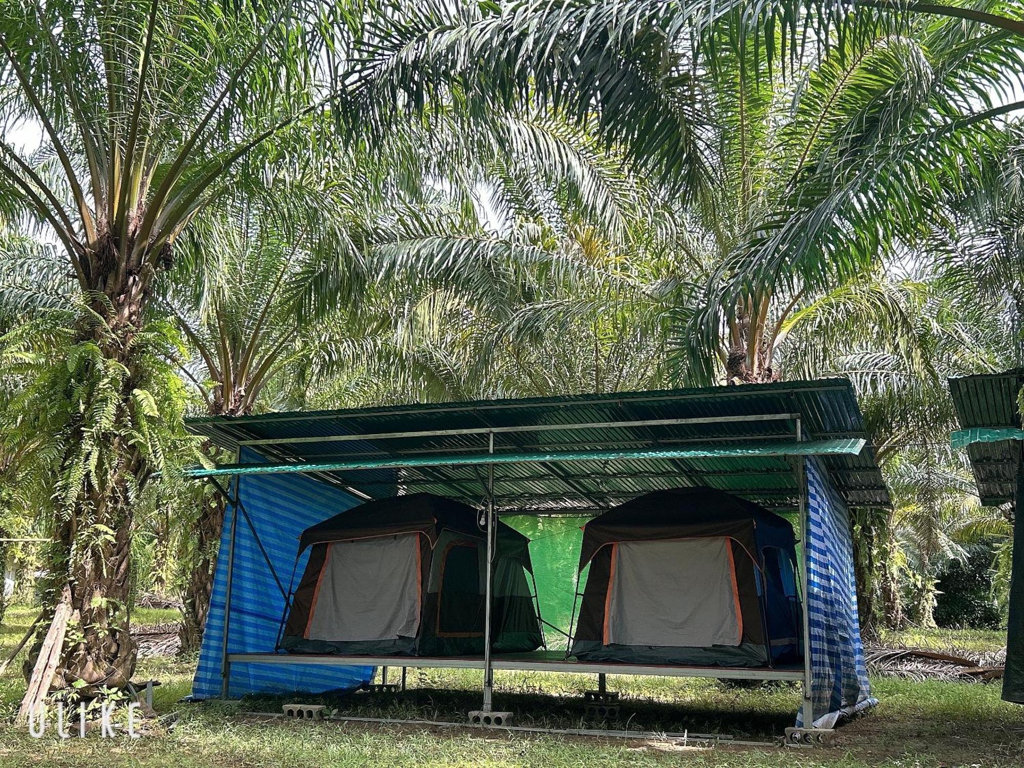 Отель Khaosok August Freedom Camp Khao Sok National Park Экстерьер фото
